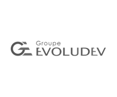 Evoludev-tuile
